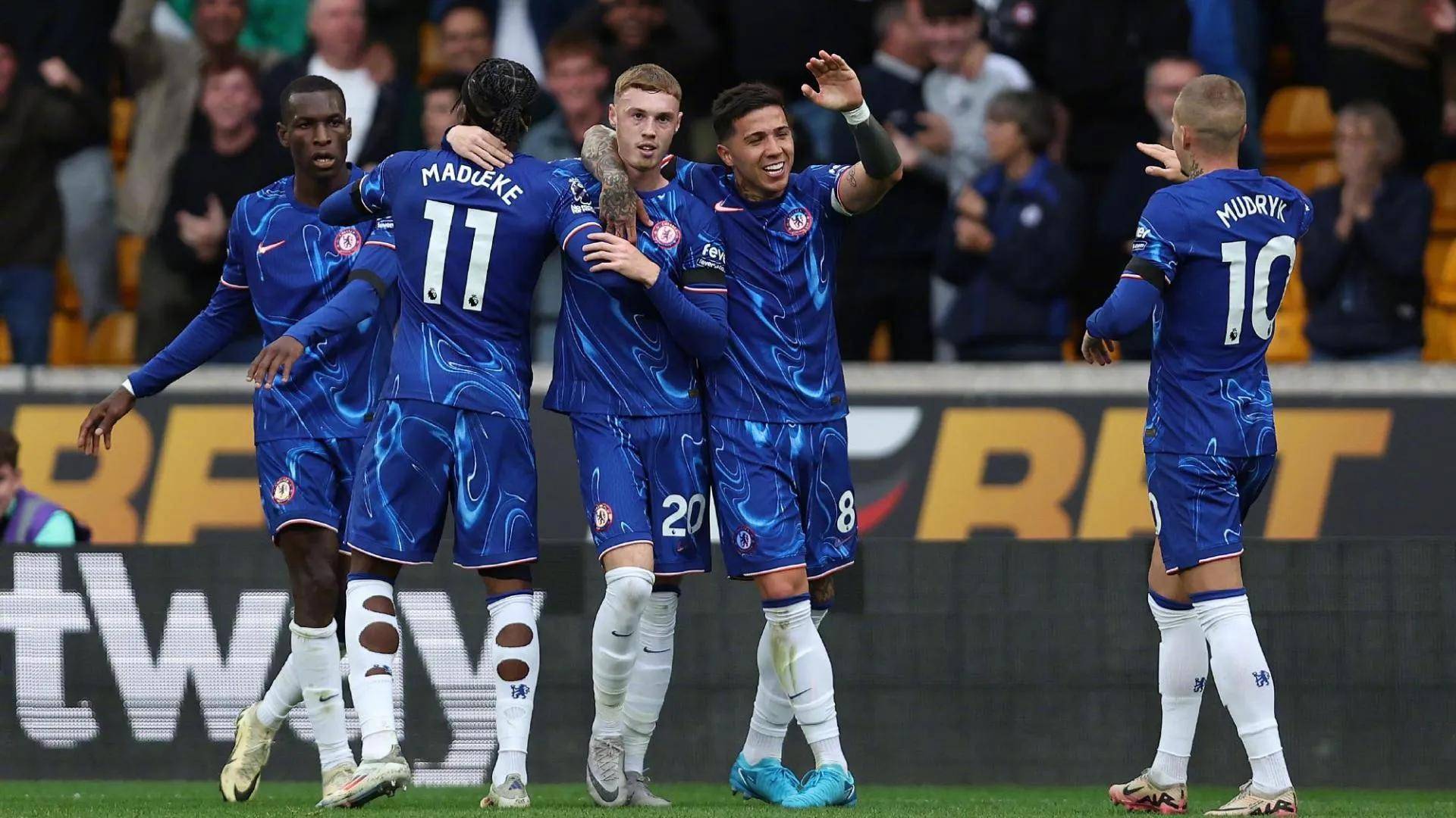 他们的经验 他们的经验