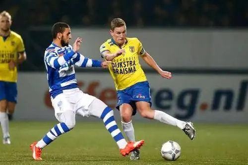 蓬勃发展 蓬勃发展