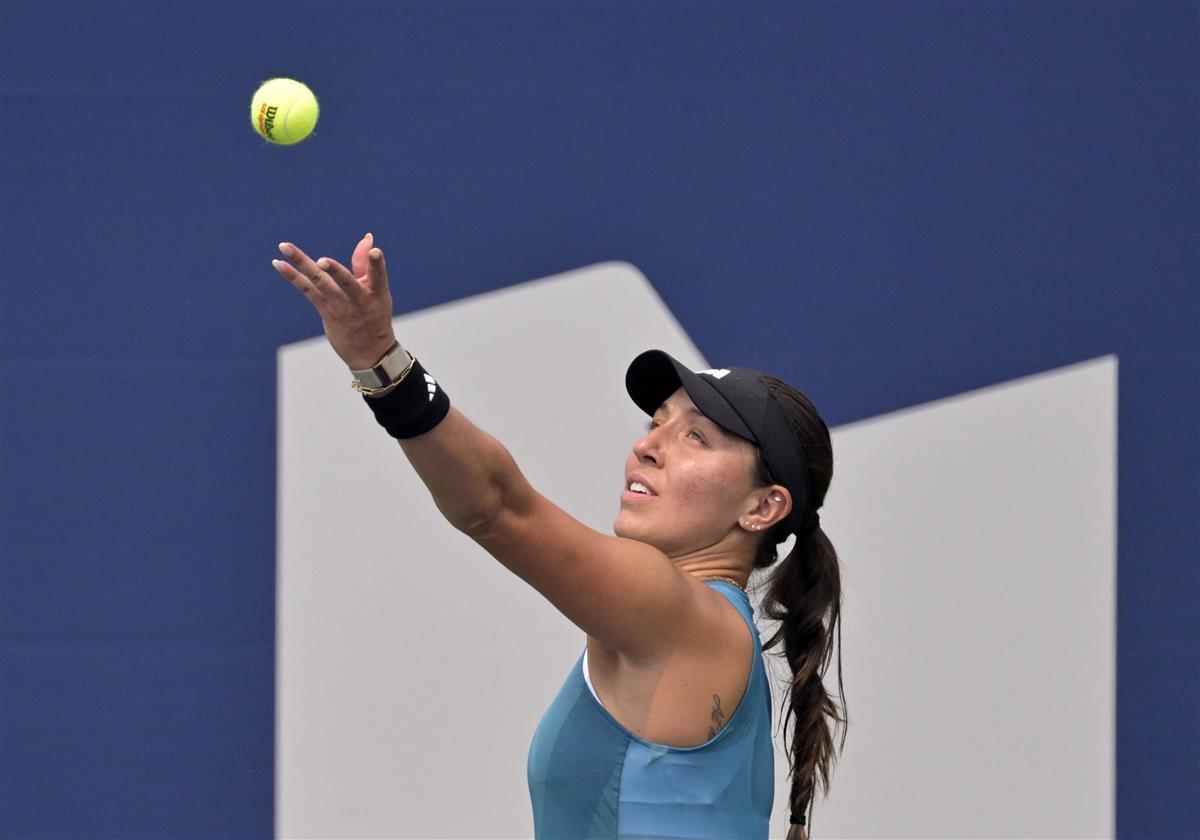 的努力和精 的努力和精